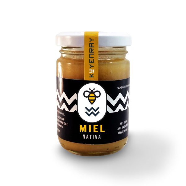 MIEL NATIVA DE TEPÚ DE 180 GRAMOS