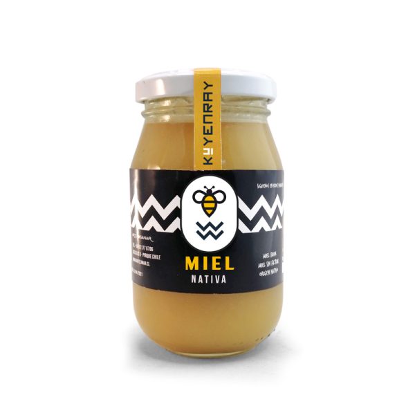 MIEL NATIVA DE TEPÚ DE 280 GRAMOS