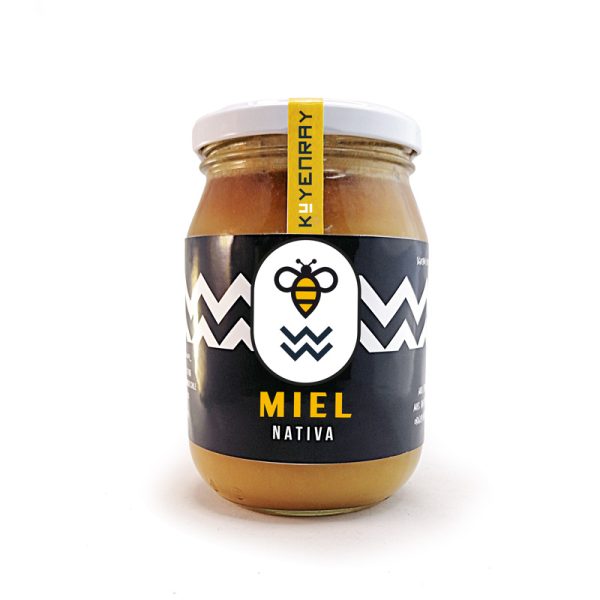 MIEL NATIVA DE TEPÚ DE 550 GRAMOS