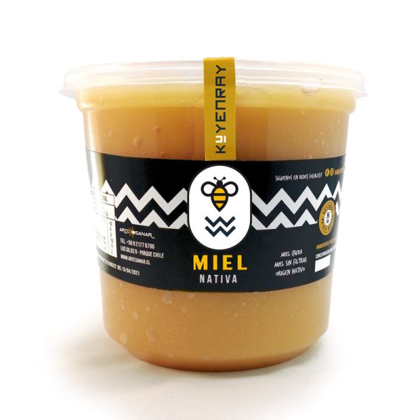 MIEL NATIVA DE TEPÚ DE 1 KILO