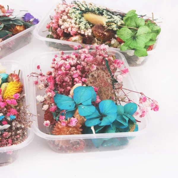 SET DE 1 CAJA DE FLORES SECAS