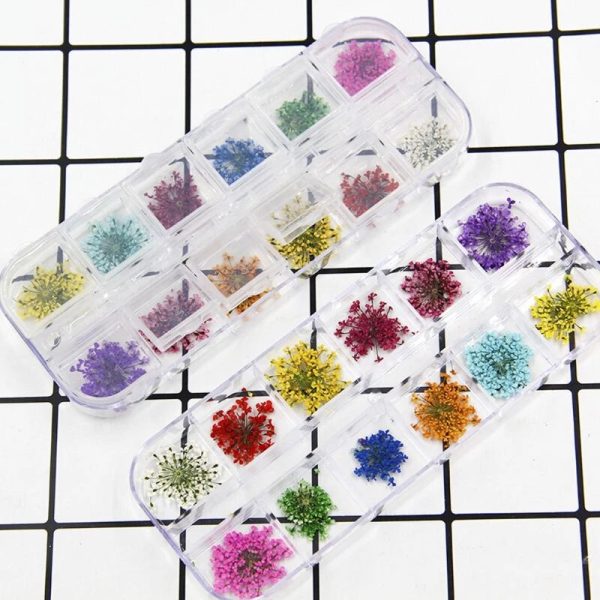 SET DE 24 FLOR SECAS (RECTANGULAR)