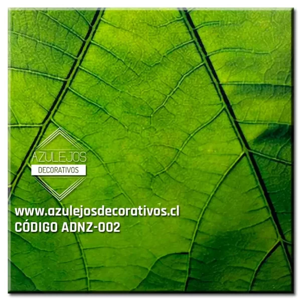 Naturaleza 2