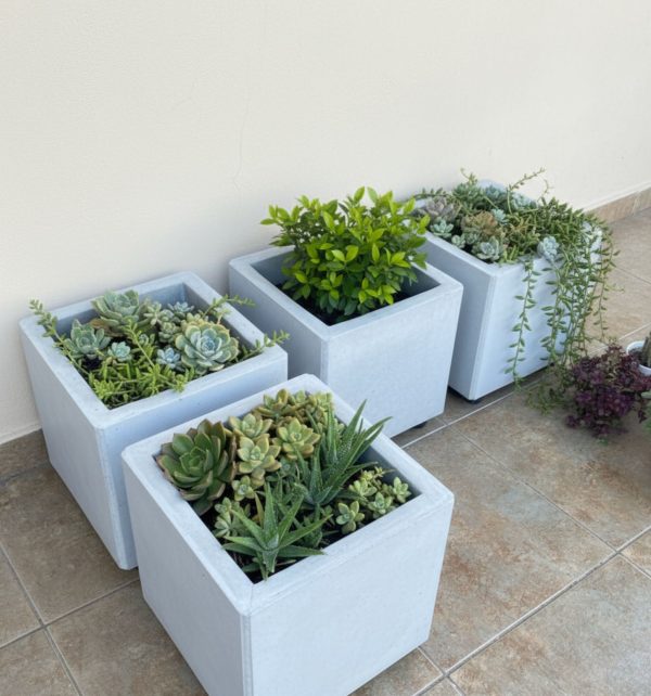 Maceta de concreto - Imagen 2